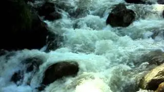 MOV00551