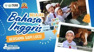 Belajar Bahasa Inggris Bersama Sapi Lucu | PKBM Al-Bayaan 