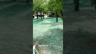 Fail