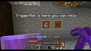 Cubscriber SMP