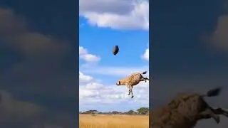 Can this Elephant Save its Calf? Insane Ending! #Shorts
