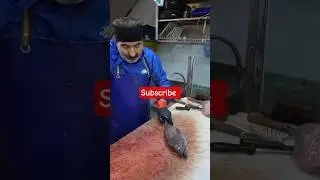 #fish #fillet #chef #seafoodprep #fishcutting #food #seafood #electronicmusic #producer #music