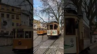 The Soul of Switzerland: train & Waterfalls & Nature #travel