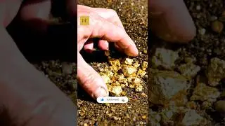 JACKPOT! Massive Gold Nuggets Found Today. #asmr #gold #goldnuggets #satisfying