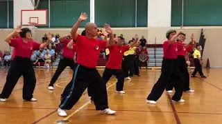 Yang's 85-Form and Cheng Manching Taijiquan