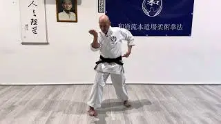 Wadoryuhobudojo - Kata: Jyutte