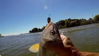 Best Fishing spots on the Grande River between Port Maitland and Caledonia