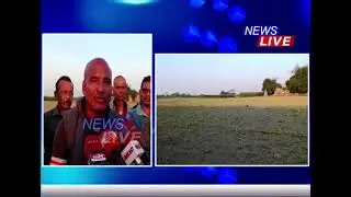📌 ৫০ বিঘাতকৈ অধিক ভূমিত কৰা সৰিয়হ নষ্ট কৰিলে মাতাব্বৰৰ দলে