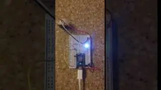 Particle Photon and a PIR Sensor