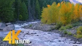 Scenic Mountain River in 2160p 4K - Relaxation with Autumn River Sounds - 1 HR Video