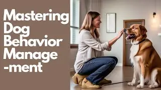 Mastering Dog Behavior Management