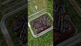 Chocolate Ganache Recipe inTamil❤️#trending #shortsfeed #shorts #brownie #ganache #recipe #tamil #yt
