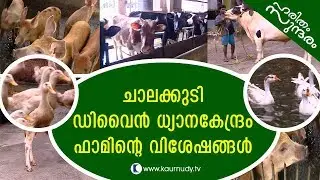 Chalakkudi Divine Prayer Centre Farm | Haritham Sundaram EP 148 | Kaumudy TV