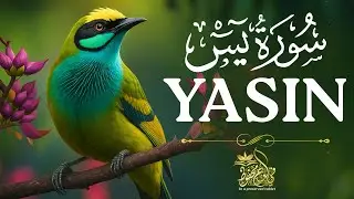 Surah Yasin (Yaseen) سورة يس | Beautiful voice heart touching | A Preserved Tablet