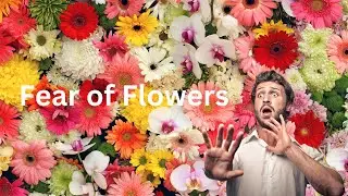 What is Anthrophobia? Understanding the Fear of Flowers (3 Minutes)