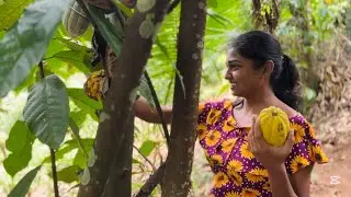 Homemade Chocolate Powder in a Natural Vibe | Pure & Healthy Chocolate Making