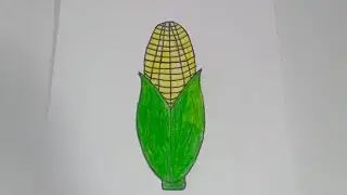 How To draw corn 🌽 /corn drawing easy for kids.