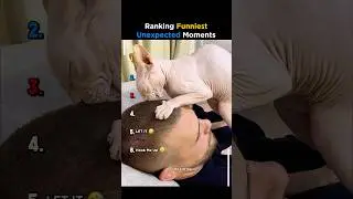 Ranking Funniest Unexpected Moments 😂