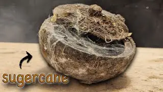 antique wooden sugercane Rebuilding | Can we call it Restoration?