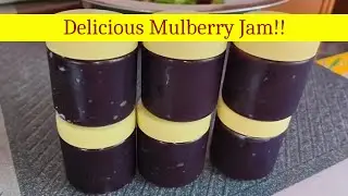 Mulberry Fruits Jam Making Method | Delicious Homemade 🍇🍇Mulberry Jam inTelugu🍇🍇 #JamRecipe#food