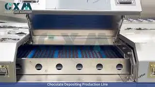 Chocolate Depositing Line | Automatic Chocolate Molding Machine | Professional Chocolate Production