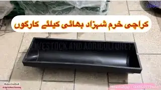 Karachi Feed Bucket Kurliya Cargo for Goat | کراچی کارگوں کرلیاں برائے بکریاں  | Modern Goat Farm
