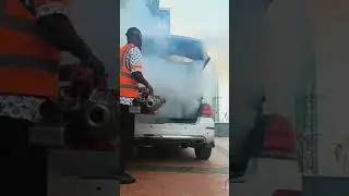 Cockroach Infestation in Your Car? Watch How Fumigation Solves the Problem
