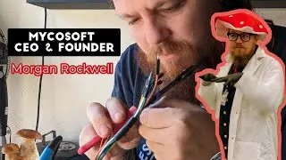 Mycosoft CEO & Founder