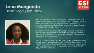 Understanding Power Project Procurement