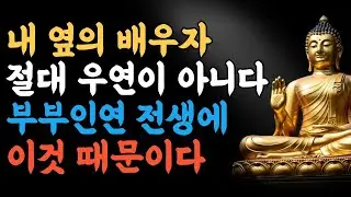부부인연  이것 때문이다.