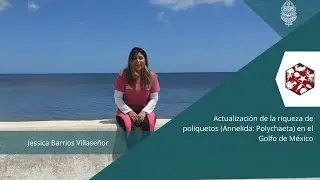 Actualizaci&oacute;n de la riqueza de poliquetos (Annelida: Polychaeta) en el Golfo de M&eacute;xico
