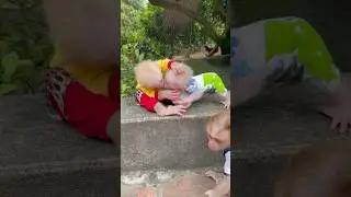 Two baby monkeys fight over each other's milk bottle.😩🍼 #monkey