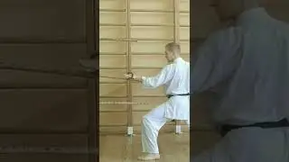 Кобудо: тинбэ и рочин, текко #kobudo  #tinbe #rochin #tekko