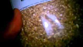 Imperial blonde ale recipe and ingredients