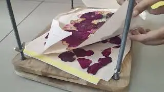 Reveal of pressed flowers of wedding varmala after 2 weeks!