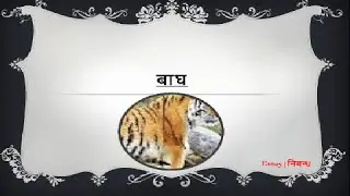 Hindi Essay on 'Tiger' | 'बाघ' पर निबंध