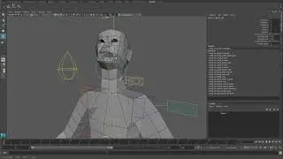 Rig demo (personal rigging system wip)