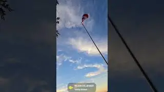 Сигара с видом! #кровьжизни #сигары #звездасигары