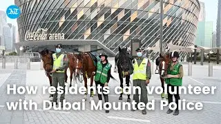 How residents can volunteer with Dubai Mounted Police