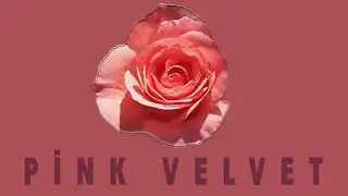 Pink Velvet (Short Film) Trailer
