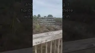 Beautiful surprise proposal at the beach #engagement