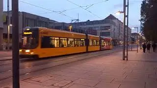Linie 12 Richtung Leutewitz