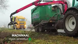 Konijnenberg Bos en Groen