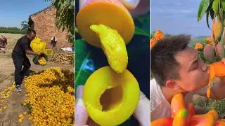 Wow😍😍So Beautiful and Amazing Fruits Video😋😋| Fruits Video Collection🍉🍎🍒 | (#video -15) #fruitvideo