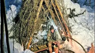 Building a Primitive Survival Shelter in the Woods Using a Fallen Tree Root. No Sleeping Bag. AMSR 