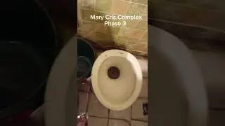 Marycris Complex Phase 3 Declogging 14