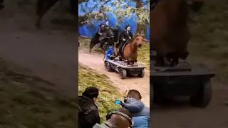 Как снимают лошадей без лошадей?