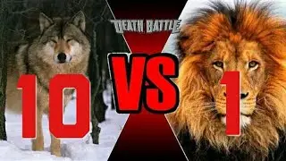 Best of 5 - 10 Wolf ( wolves ) vs A Lion - Animal Kingdom Battle Simulator 3D aNdroid / IOS Gameplay