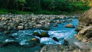 Sleep in the Echo of a Timeless Song | The Ancient Music of the River