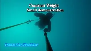 Constant weight with fins CWT (HD)
